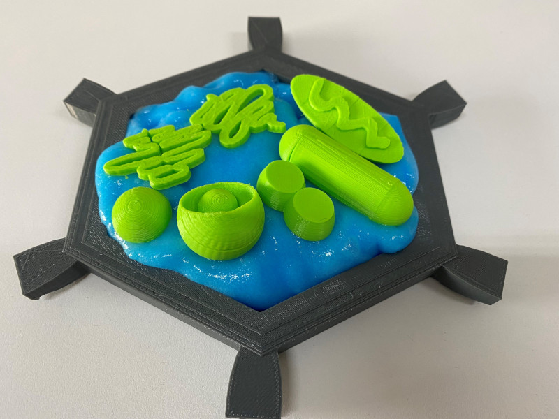 célula vegetal impresa en 3D