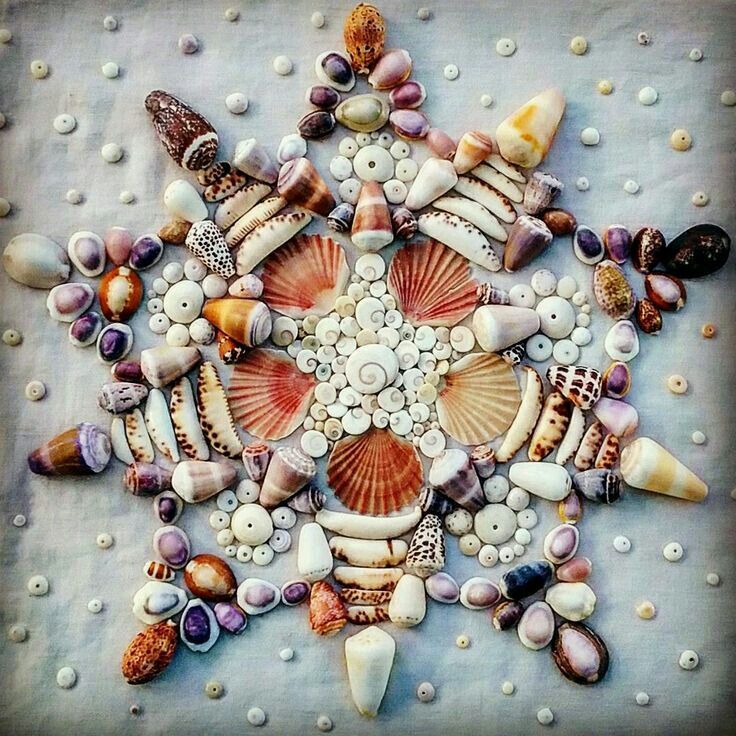 Mandala hecho con conchas